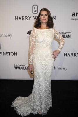 Brooke Shields bei der amfAR New York Gala 2015 im Cipriani Wall Street New York 11 02 2015 Foto x-stock-foto