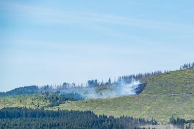 Waldbrand Kleiner Winterberg-stock-foto