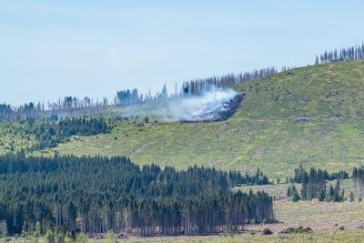 Waldbrand Kleiner Winterberg-stock-foto