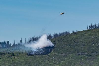 Waldbrand Kleiner Winterberg-stock-foto