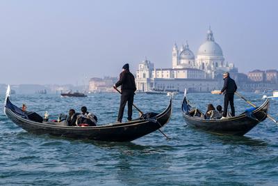 Gondolas with tourists, are rowed across the Canale della Giudecca, Basilica di Santa Maria della Salute in the distance-stock-foto