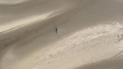 Erneut ist ein Wal oestlich von Wangerooge am 14.05.2025 gestrandet Zweite Walstrandung innerhalb von 3 Monate auf der Sandbank Minsener Oog Vermutlich ist der Wahl auf der Sandbank bei Ebbe gestrandet. Um was f?r einen Wal es sich handelt ist noch unklar. Der jetzige Wal ist auch einige Meter kleiner als der im Februar gestrandet war.Fotos Videoscreenshots wurde aus einem Hubschrauber erstellt . Es lag eine ?berfluggenemigung vor. Niedersachsen Deutschland *** Another whale stranded east of Wangerooge on 14 05 2025 Second whale stranding within 3 months on the sandbank Minsener Oog Presumably the whale stranded on the sandbank at low tide It is still unclear what kind of whale it is The current whale is also a few meters smaller than the-stock-foto