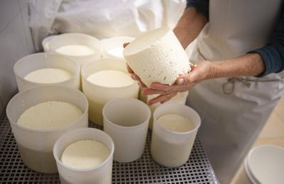 Thema: Mit Lab angedickte Milch wird in eine zylindrische Kaeseform abgefuellt in einer Hof-Kaeserei auf einem Bio Hof i-stock-photo