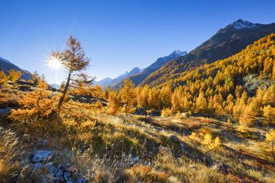Loetschental im Herbst, Schweiz, Wallis, Fafleralp Loetschental Valley in autumn, Switzerland, Valais, Fafleralp BLWS706-stock-foto