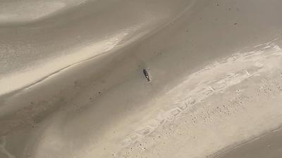 Erneut ist ein Wal oestlich von Wangerooge am 14.05.2025 gestrandet Zweite Walstrandung innerhalb von 3 Monate auf der Sandbank Minsener Oog Vermutlich ist der Wahl auf der Sandbank bei Ebbe gestrandet. Um was f?r einen Wal es sich handelt ist noch unklar. Der jetzige Wal ist auch einige Meter kleiner als der im Februar gestrandet war.Fotos Videoscreenshots wurde aus einem Hubschrauber erstellt . Es lag eine ?berfluggenemigung vor. Niedersachsen Deutschland *** Another whale stranded east of Wangerooge on 14 05 2025 Second whale stranding within 3 months on the sandbank Minsener Oog Presumably the whale stranded on the sandbank at low tide It is still unclear what kind of whale it is The current whale is also a few meters smaller than the-stock-foto