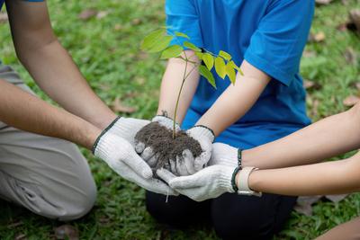 Family volunteers working together to plant a tree for environmental protection-stock-foto