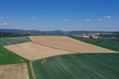 15.5.2025 Ernte in Gefahr-stock-foto