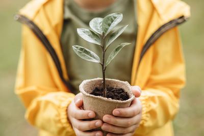 Kinderh?nde halten Topf mit Pflanze. Rettet die Erde. Tag der Erde. Weltumwelttag.-stock-photo