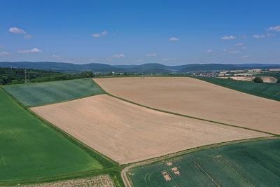 15.5.2025 Ernte in Gefahr-stock-foto