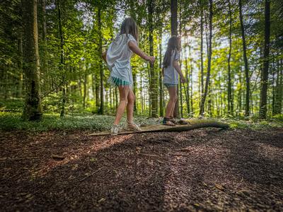 Kinder, Wald, Natur, Spielen, Sommer, Erfrischung, Waldspielplatz, Abenteuer, Entdecken, Umwelt, Erholung, Familienausfl-stock-foto