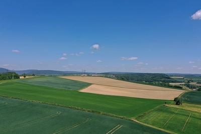15.5.2025 Ernte in Gefahr-stock-foto