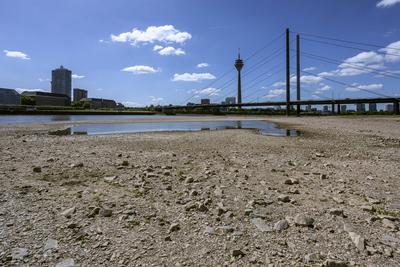 Rhein hat Niedrigwasser, gro?e Fl?chen des Flusses liegen trocken, Blick auf die Rheinkniebr?cke und den Rheinturm - D?s-stock-foto