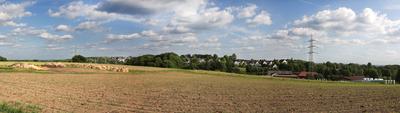 Nutzpflanzen bei Trockenheit Maisfelder kurz vor dem Sommer bei andauernder, trockener Wetterlage Essen Nordrhein-Westfa-stock-foto
