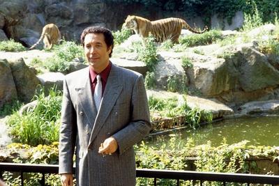 Tom Jones bei den Tigern im Berliner Zoo-stock-foto