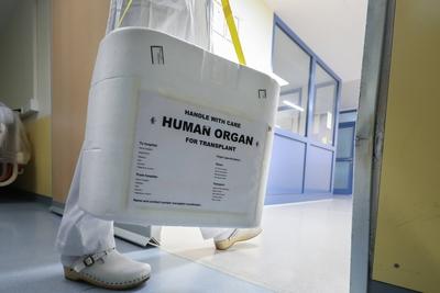 Hannover, Medizinische Hochschule, MHH, Organ Transport Box, Organspende, Transplantation, *** Hannover Medical School M-stock-foto