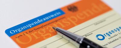 16.04.2020, Organspendeausweis 16.04.2020, Organspendeausweis 16.04.2020, Organspendeausweis *** 16 04 2020, organ donor-stock-foto
