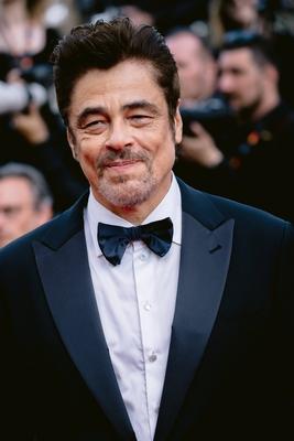 78eme Festival International du Film de Cannes. Mont?e des marches du film The Phoenician Theme. BAELEN-stock-photo