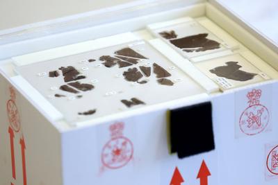 BEIJING, CHINA - MAY 18: The ancient Zidanku Silk Manuscripts from the Warring States period (475-221 B.C.) are displaye-stock-foto