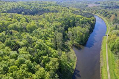 Mischwald von oben mit Elbe-Luebeck-Kanal, Drohnenaufnahme, Deutschland, Schleswig-Holstein mixed forest and Elbe-Luebec-stock-foto