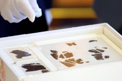 BEIJING, CHINA - MAY 18: A staff member displays the ancient Zidanku Silk Manuscripts from the Warring States period (47-stock-foto