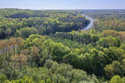 Mischwald von oben mit Elbe-Luebeck-Kanal, Drohnenaufnahme, Deutschland, Schleswig-Holstein mixed forest and Elbe-Luebec-stock-foto
