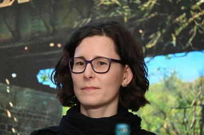 Prof. Dr. Heike Proff-stock-photo