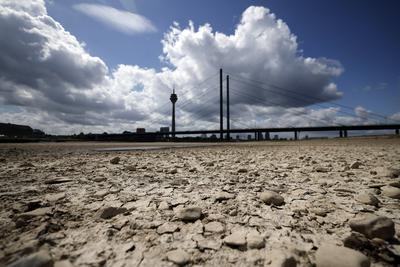 Der Rhein bei Niedrigwasser-stock-foto