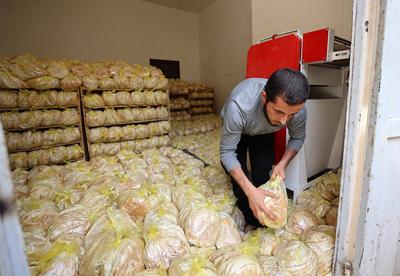 Workers package bread for distribution at the World Food Programme (WFP) bakery after a limited amount of flour entered the Gaza Strip-stock-foto