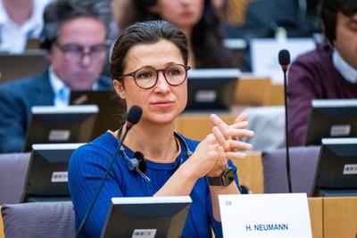 BRUSSELS-EUROPEAN-PARLIAMENT-FOREIGN-AFFAIRS-stock-foto