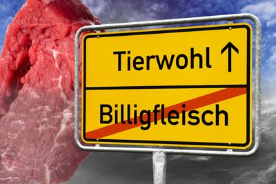 FOTOMONTAGE, Ortsschild Tierwohl gegen Billigfleisch *** PHOTOMONTAGE, place-name sign animal welfare against cheap meat-stock-foto