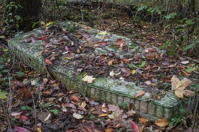 Wilder M?ll: Alte Matratze in einem Waldst?ck des Koenigsforst Wild rubbish: Old mattress in a wooded area of Koenigsfor-stock-foto