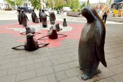 Nachwuchs bei Pinguinen-stock-photo