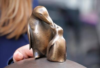 Nachwuchs bei Pinguinen-stock-photo
