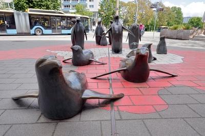Nachwuchs bei Pinguinen-stock-photo