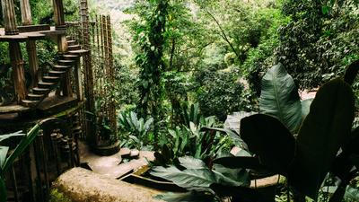 Mexiko, Xilitla, San Luis Potosi, Las Pozas surrealistische Skulptur Garten von Edward James *** Mexico, Xilitla, San Lu-stock-photo