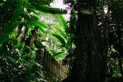 Mexiko, Xilitla, San Luis Potosi, Las Pozas surrealistische Skulptur Garten von Edward James *** Mexico, Xilitla, San Lu-stock-photo