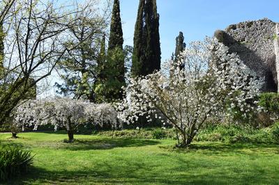 The garden of Nymph located in the territory of the municipality of Cisterna Di Latina, on the border with Norma and Ser-stock-photo