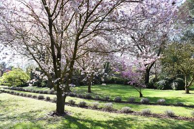 The garden of Nymph located in the territory of the municipality of Cisterna Di Latina, on the border with Norma and Ser-stock-photo