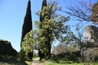 The garden of Nymph located in the territory of the municipality of Cisterna Di Latina, on the border with Norma and Ser-stock-photo