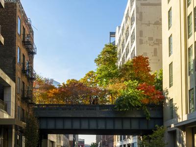 High Line Park in New York Fall foliage on the High Line Park as it crosses West 25th Street in Chelsea in New York on S-stock-photo