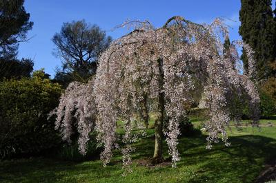 The garden of Nymph located in the territory of the municipality of Cisterna Di Latina, on the border with Norma and Ser-stock-photo