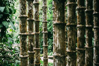 Mexiko, Xilitla, San Luis Potosi, Las Pozas surrealistische Skulptur Garten von Edward James *** Mexico, Xilitla, San Lu-stock-photo