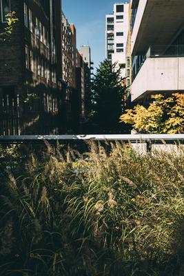 Travel pictures New York City New York Manhattan, 02.10 - 10.10.22: High Line Park geht ?ber 2,33km lang und war eine eh-stock-photo