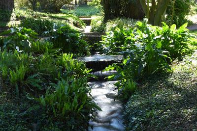 The garden of Nymph located in the territory of the municipality of Cisterna Di Latina, on the border with Norma and Ser-stock-photo