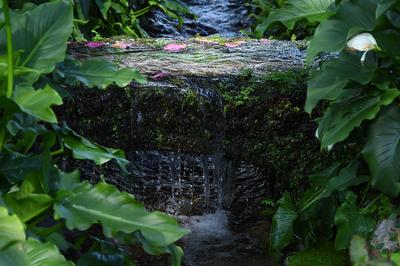 The garden of Nymph located in the territory of the municipality of Cisterna Di Latina, on the border with Norma and Ser-stock-photo