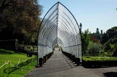 Cathedral Of Light Cathedral Of Light at The Royal Botanic Garden, Sydney, New South Wales, Australia. Sydney New South-stock-foto