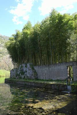 The garden of Nymph located in the territory of the municipality of Cisterna Di Latina, on the border with Norma and Ser-stock-photo