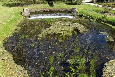 The garden of Nymph located in the territory of the municipality of Cisterna Di Latina, on the border with Norma and Ser-stock-photo