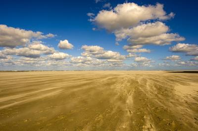 Sandy Plain with Wind on Schiermonnikoog Huge & Windy Sandy Plain with Drifting Sand on Schiermonnikoog, one of the Dutc-stock-photo