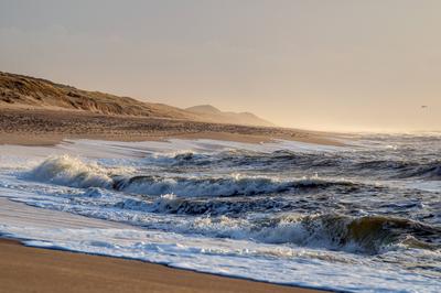 Aufgew?hlte Nordsee-stock-foto